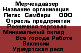 Мерчендайзер › Название организации ­ "Пегас" Самбери-3, ООО › Отрасль предприятия ­ Розничная торговля › Минимальный оклад ­ 23 500 - Все города Работа » Вакансии   . Удмуртская респ.,Сарапул г.